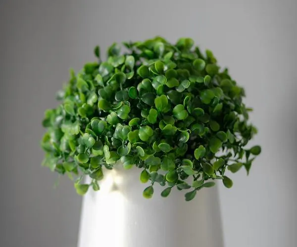 Baltica Panorama View By Triapart Gdansk